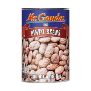 MR GOUDAS CANS PINTO BEANS 236